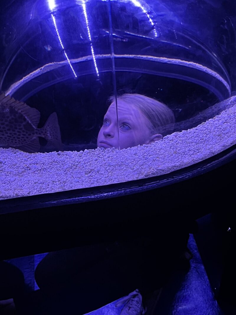 girl in the cuve