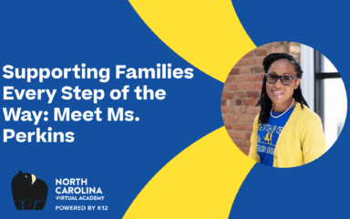 NCVA student support advisor